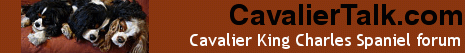 cavtalklogo.gif