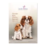 cavalier-calendar-2024-a.jpg