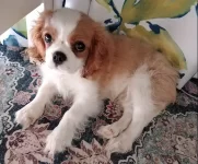 Hovis13 weeks.webp