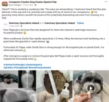 Screenshot_20250102_173647_Facebook.webp