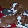 Harley & Carley