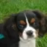 Cash'sPerson