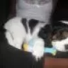 mellyjr