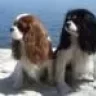 luv my wiggle butts