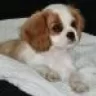 Eleanor