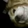 GeorgesMama