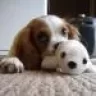 Mandy and Molly