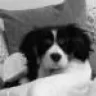 HowardtheSpanner